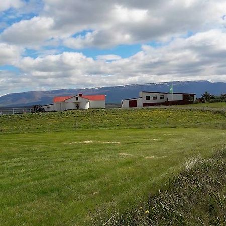 Glaesibaer Bed & Breakfast Reynistadur Екстериор снимка