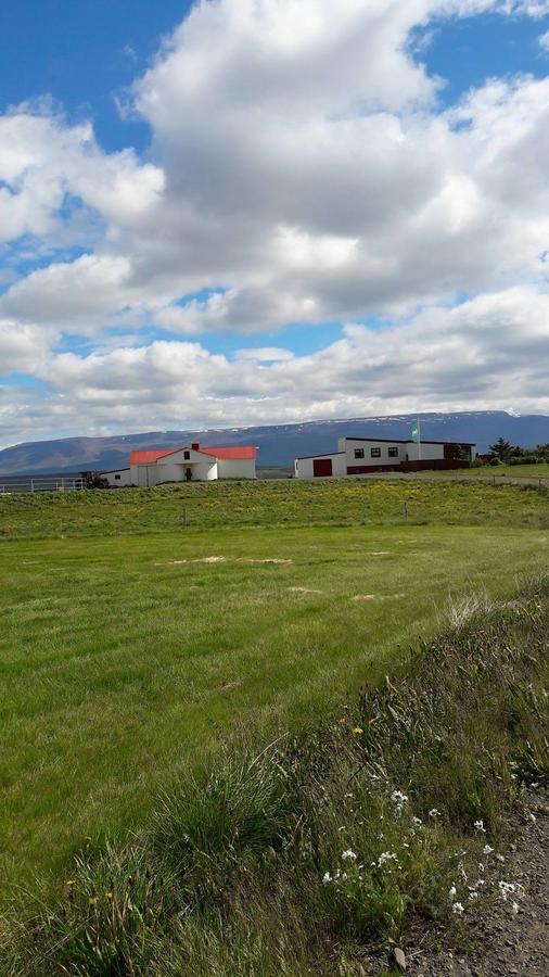 Glaesibaer Bed & Breakfast Reynistadur Екстериор снимка